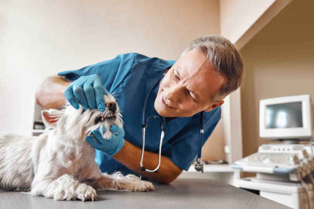 Best Emergency Tooth Extraction in Richton, MS
